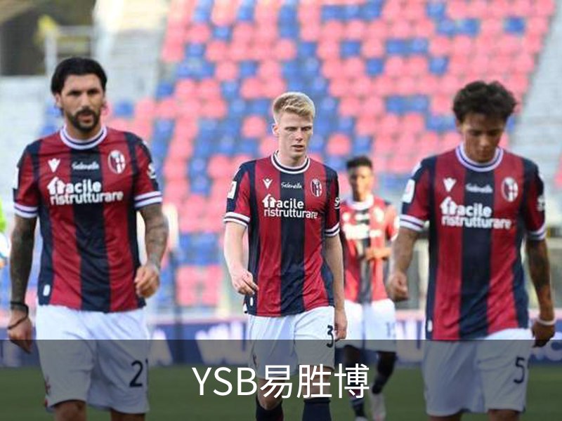 关于YSB易胜博